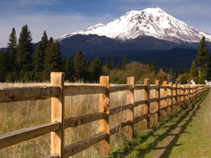 mount-shasta-ownership